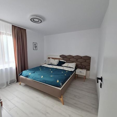 Toronto Deluxe Residence Timişoara Extérieur photo