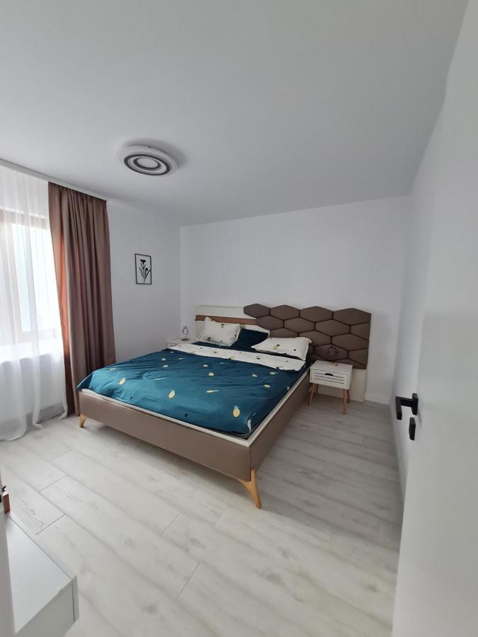 Toronto Deluxe Residence Timişoara Extérieur photo